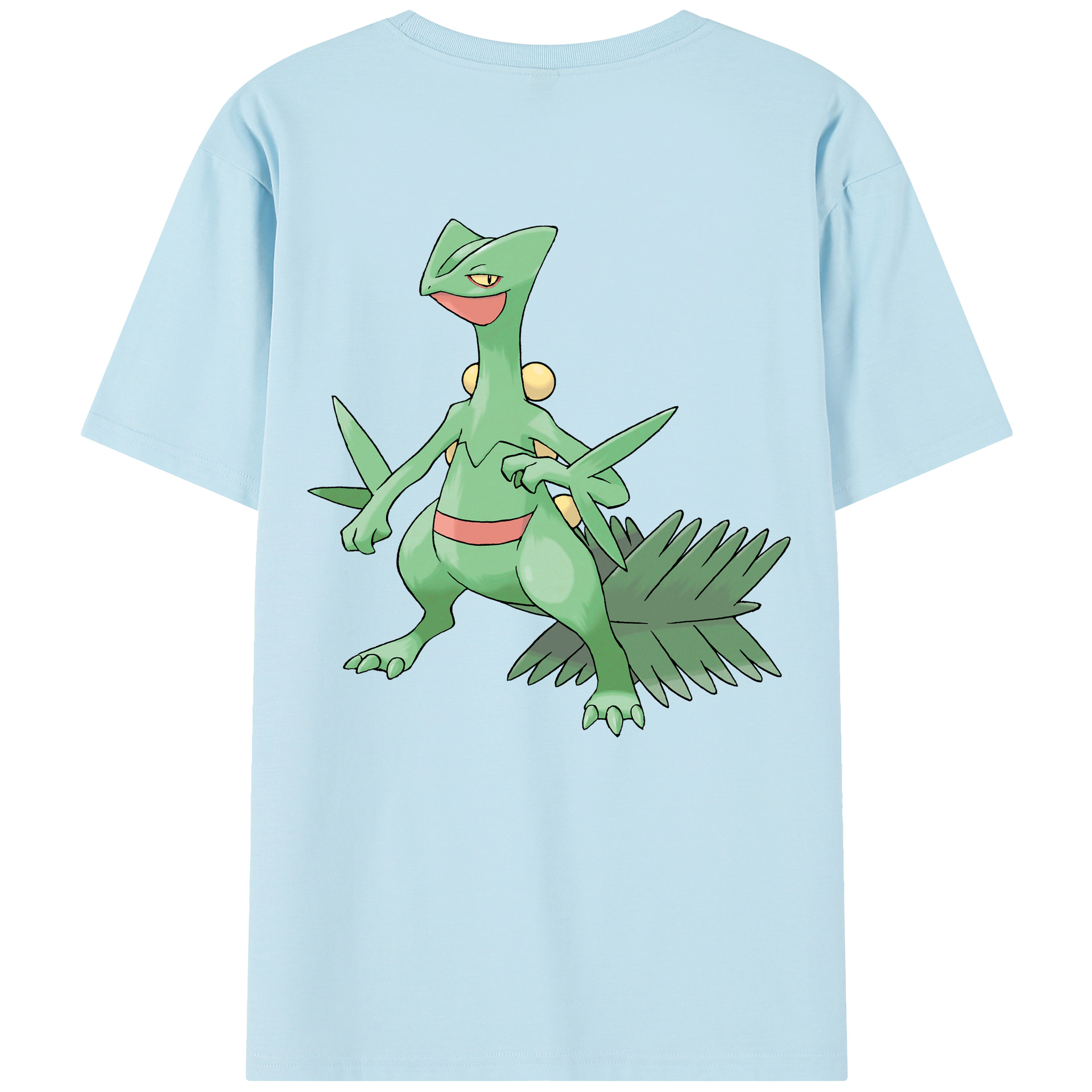 （画像用） ポケットモンスター Pokémon 綿100％半袖Tシャツ（背面プリント）